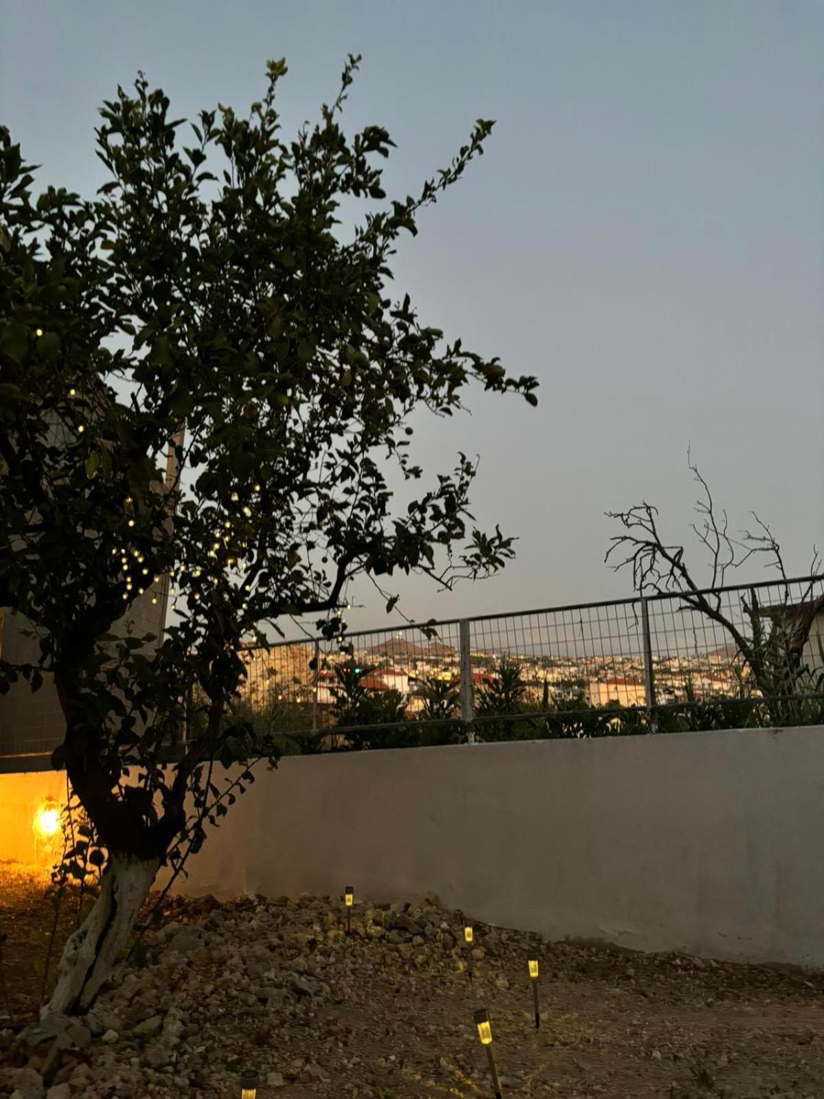 Bibliotheque Vintage Studio & Easy Garden Heraklion  Luaran gambar